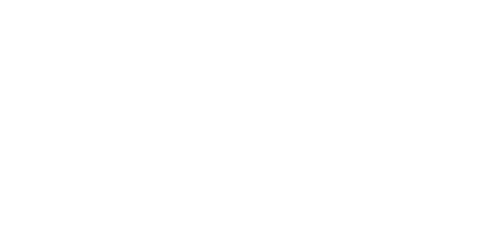 META Group